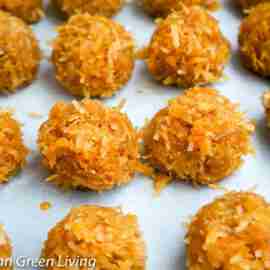 Rum Balls or Coconut Rum Balls 5 Rum Balls or Coconut Rum Balls