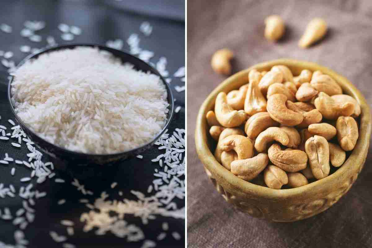 rice and cashews for springtime rice