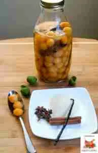Kenep Trempe 3 1