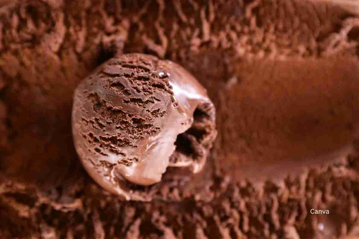 Decadent Homemade Chocolate Ice Cream 3 Chocolate Ice Cream