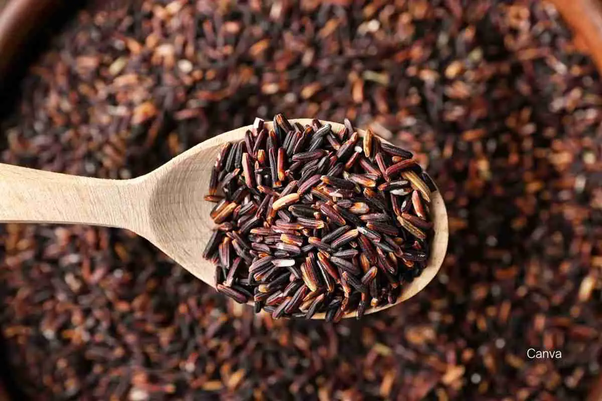wild rice for aromatic rice medley