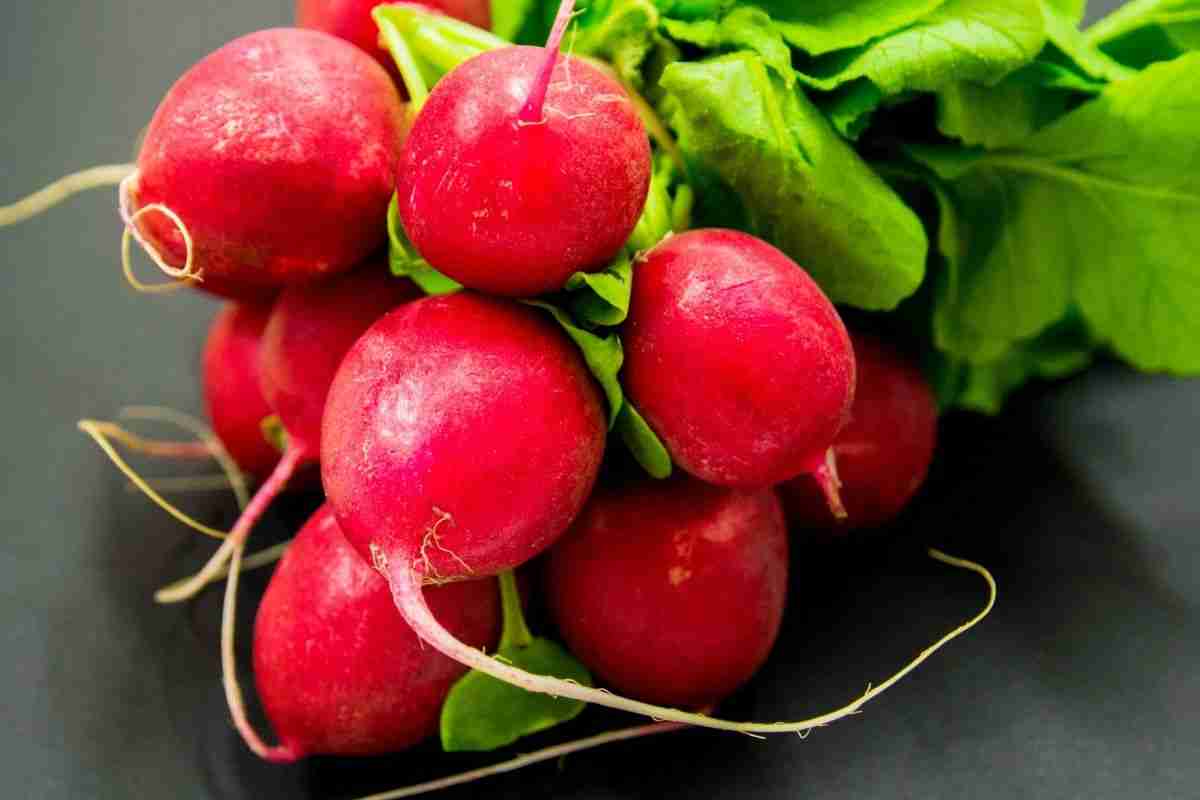Radish juice