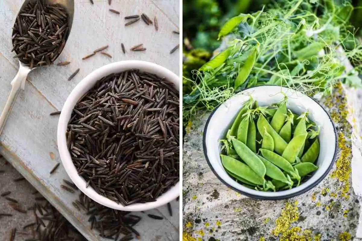 wild rice with snap peas
