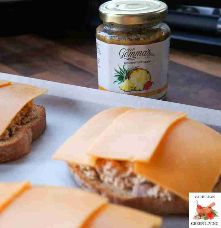 Quick and Easy Salmon Melt Sandwich Caribbean Green Living