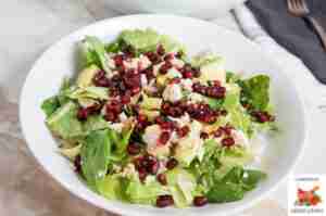 Tuna Salad with Romaine Lettuce, Avocado, and Pomegranate