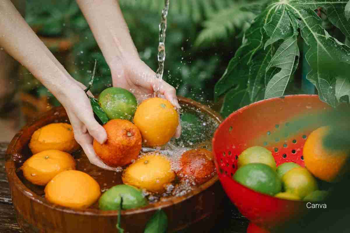 Washing Fruits and Vegetables