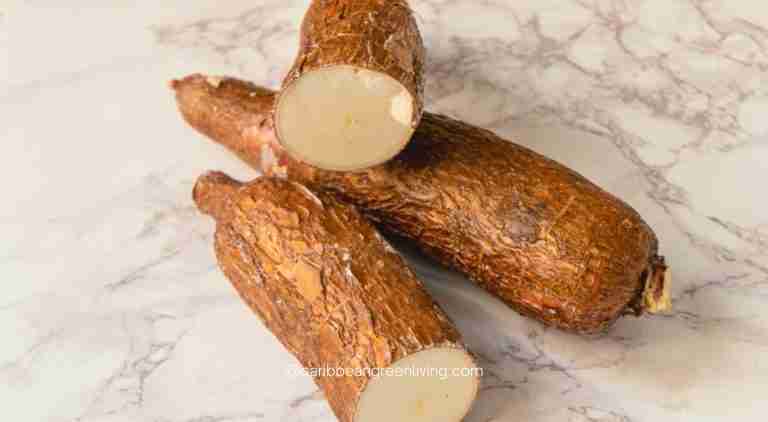 Yuca Cassava Guide: How to Peel, Cook, and Use It 3 Yuca Cassava Guide: How to Peel, Cook, and Use It