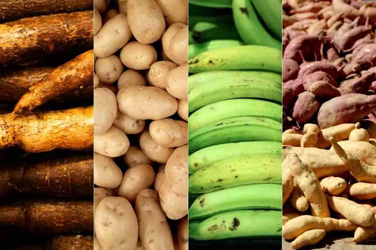 4 Delicious Carbohydrate-Rich Vegetables to Boost Your Weekly Meal Plan