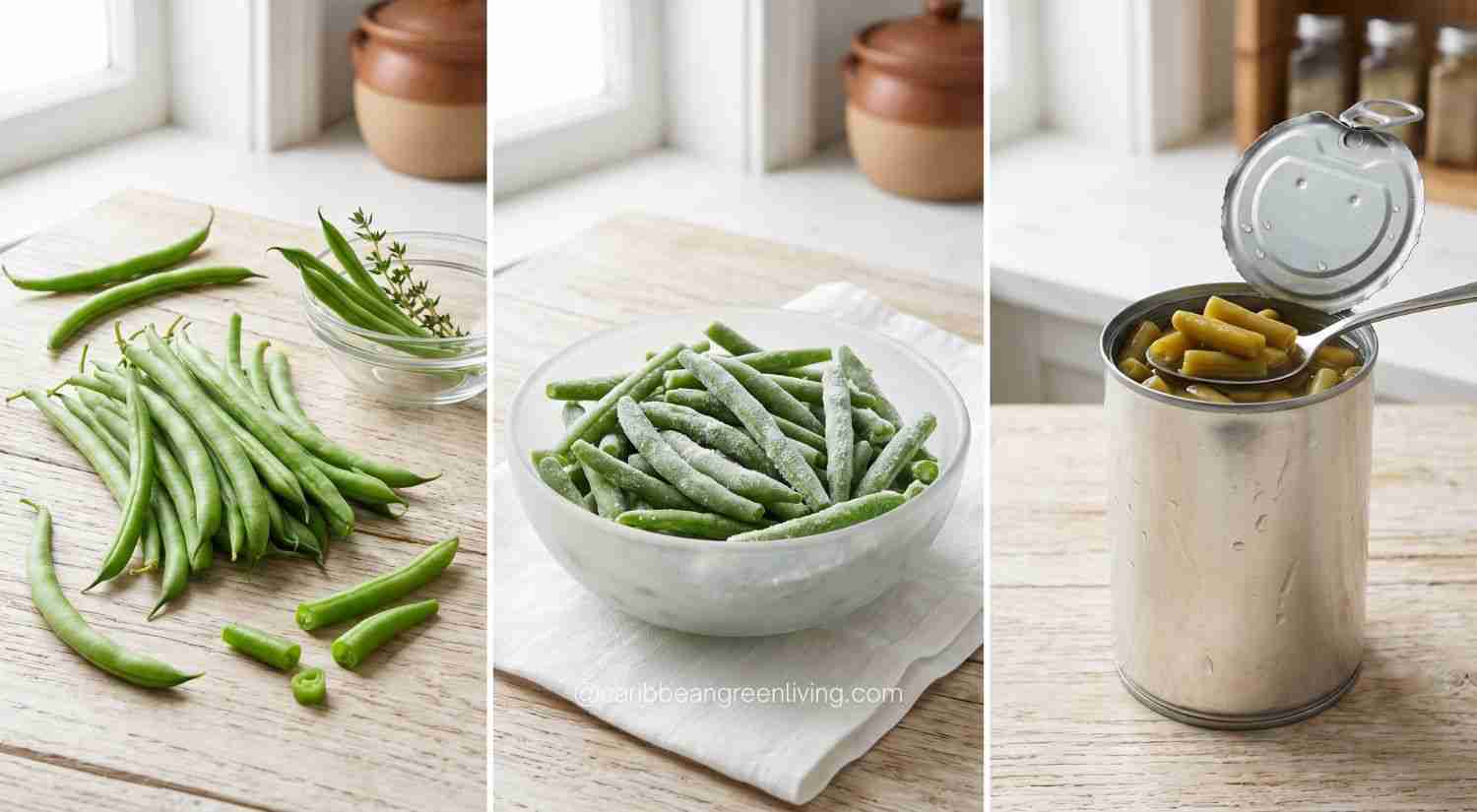 Fresh vs Frozen vs Canned Comparison