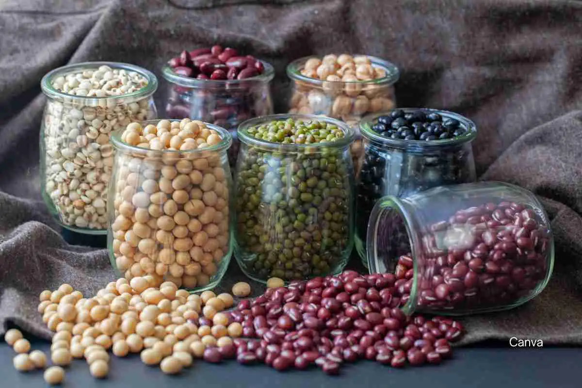 Ultimate Guide to Sauce Pois: Haitian Bean Sauce Recipes, Variations, and Pairings