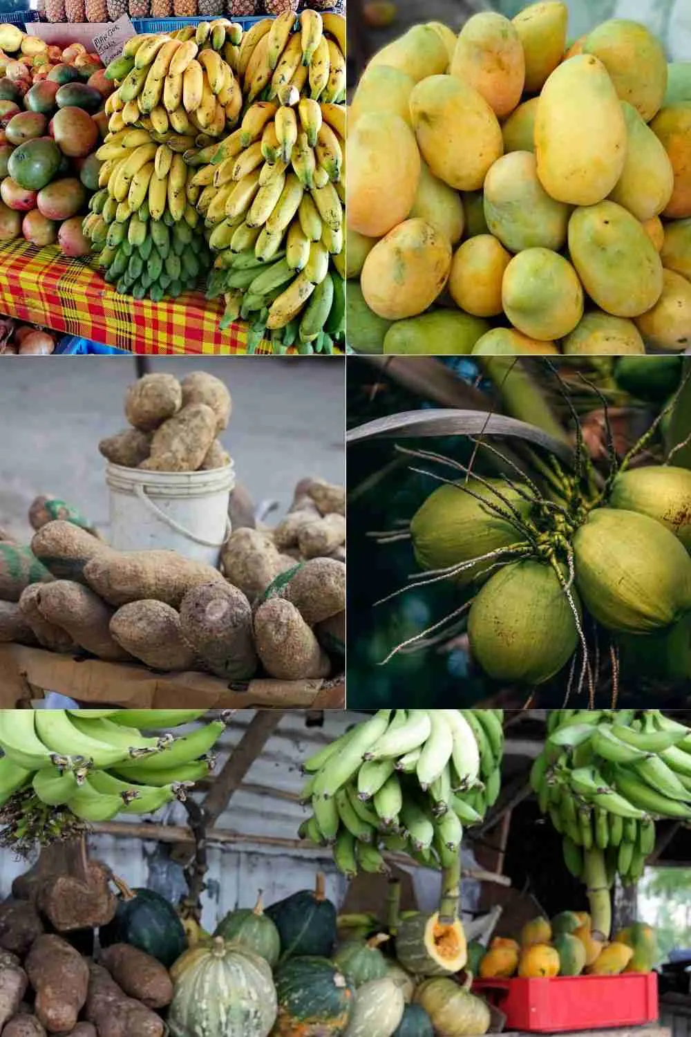 7 reasons why you must try Haitian Food