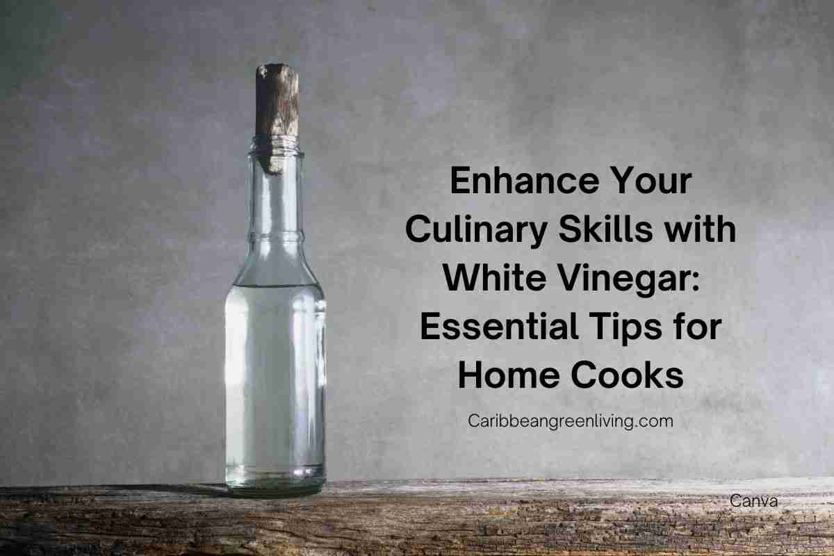 Enhance Your Culinary Skills with White Vinegar: Essential Tips for Home Cooks