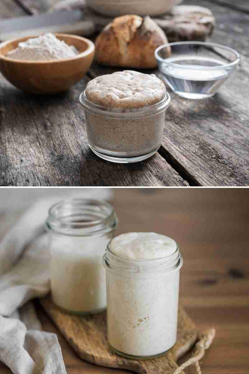 Sourdough bread starter