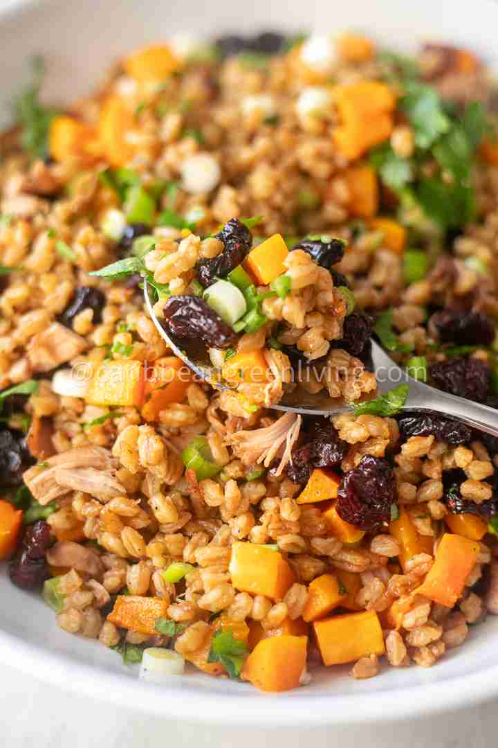 Farro Salad with Turkey and Roasted Squash 1 Farro Salad with Turkey and Roasted Squash