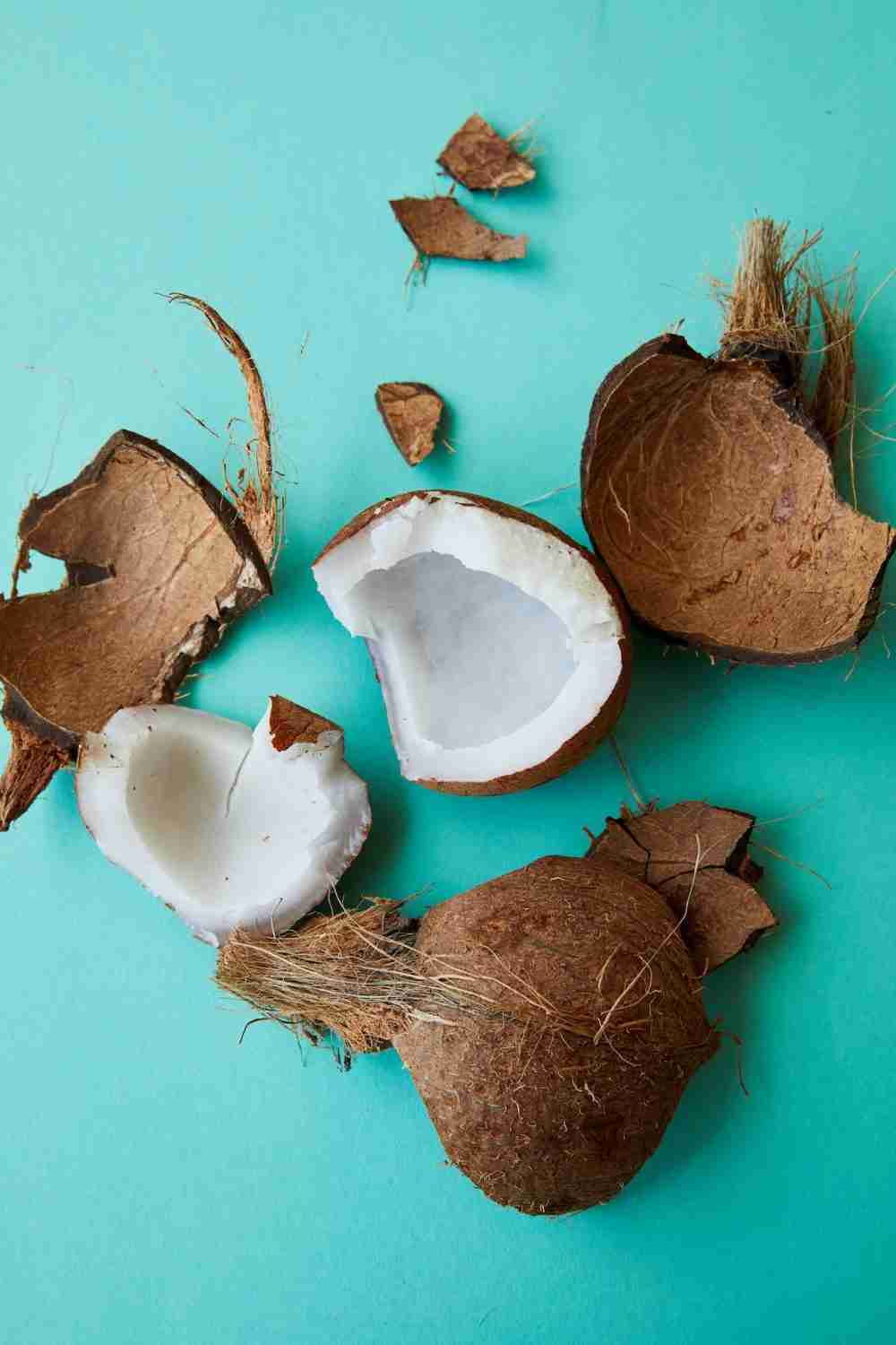Rum Balls or Coconut Rum Balls 1 Cracked coconut with soft white pulp