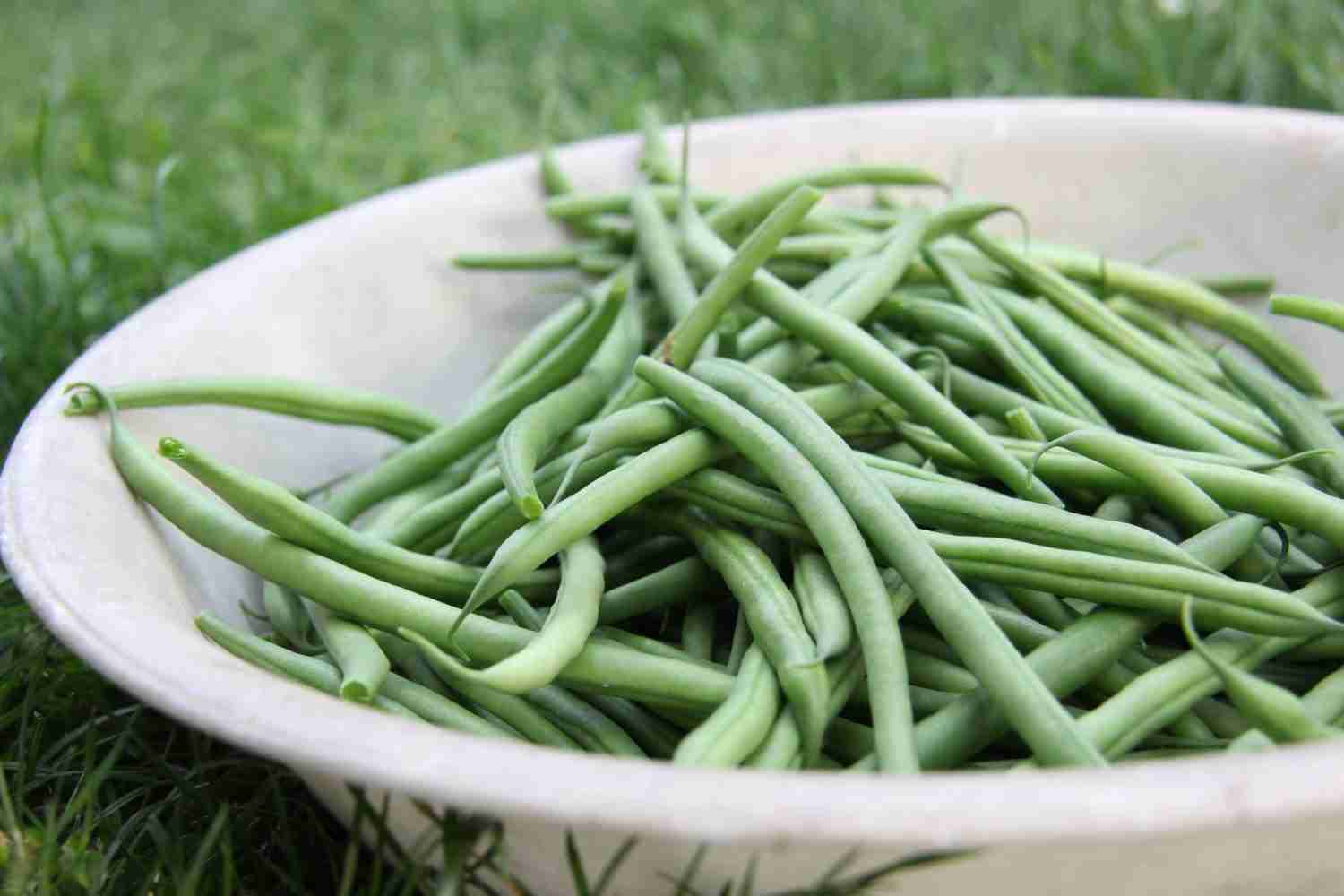 Green Beans on the Ceramic Bowl
