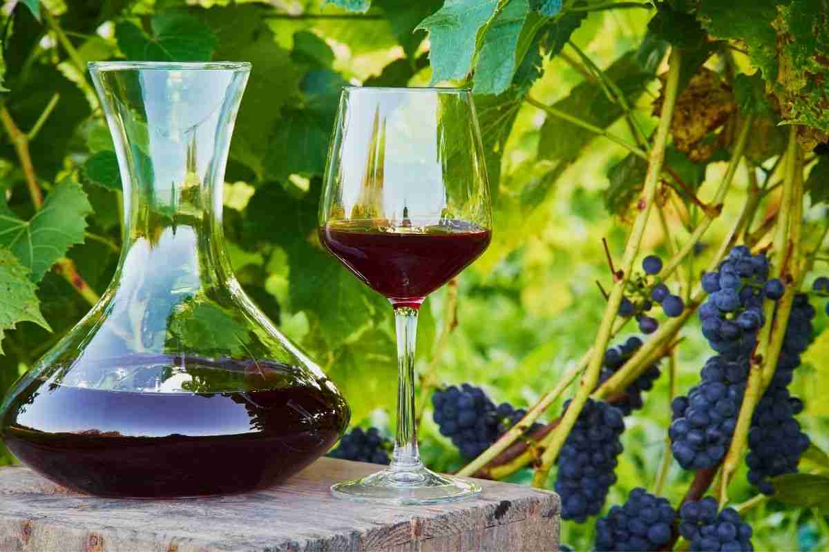 Wine decanter