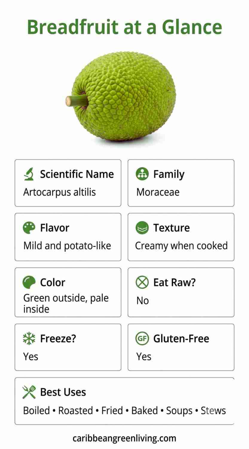 breadfruit at a glance