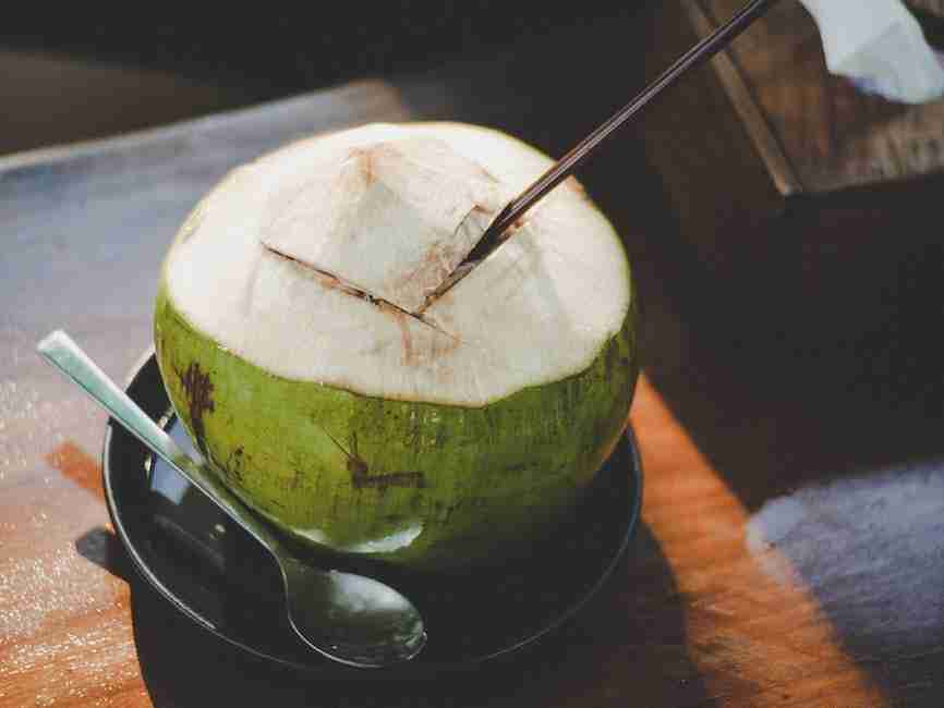 Coconut Milk Drinks