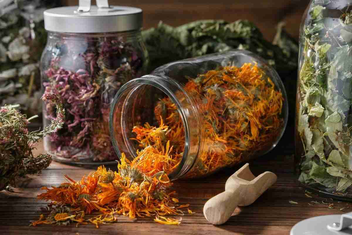 Dried Herbs in jar