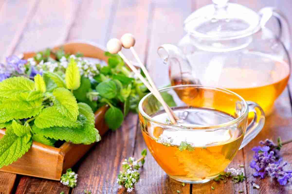 Fresh Herbal Tea | Wellness