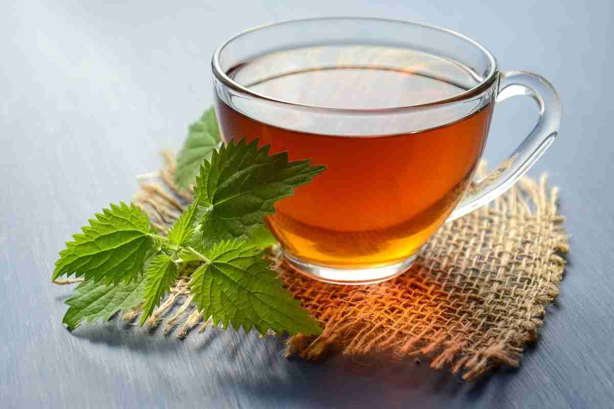 Fresh Herbal Tea
