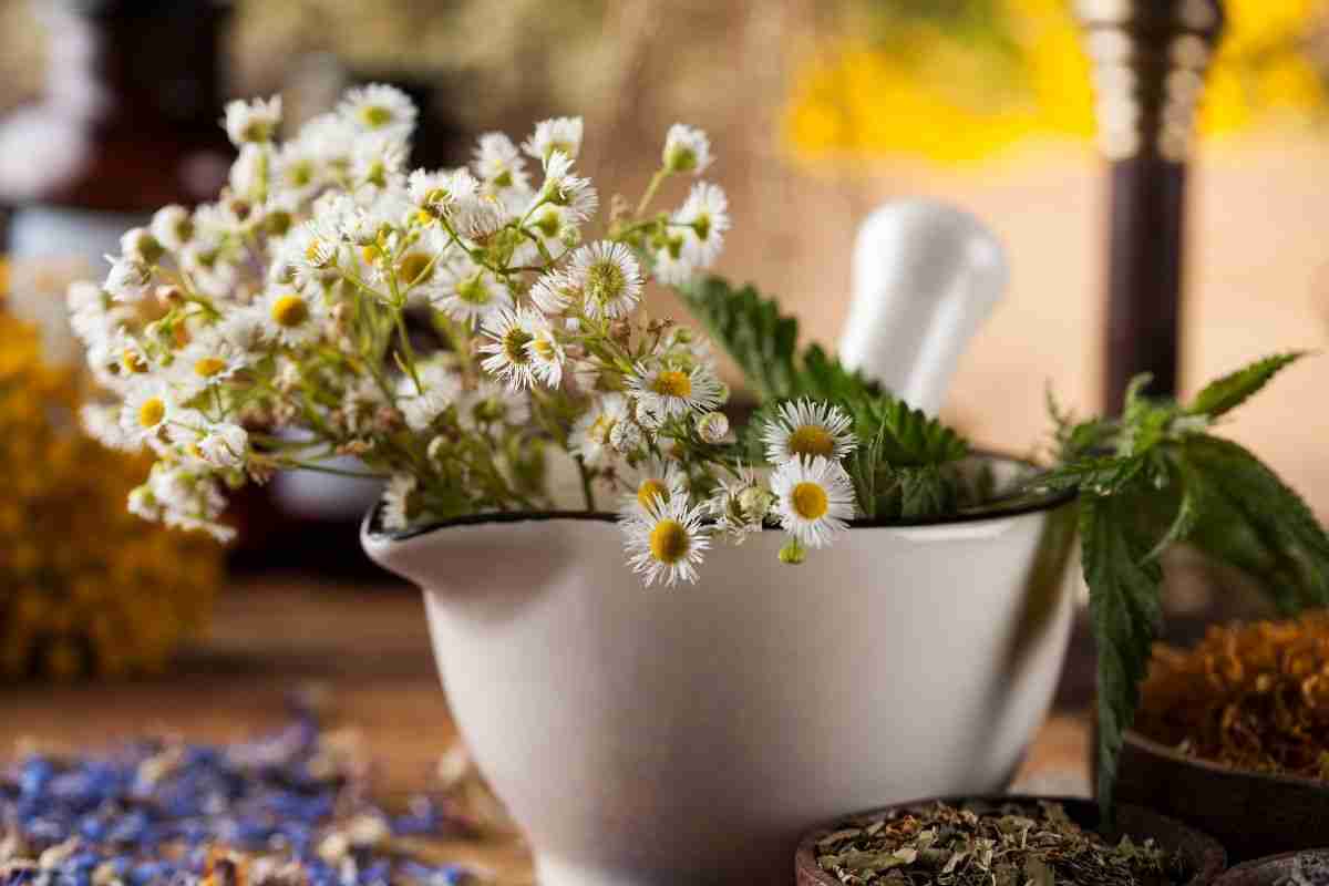 Sweet Dreams: Natural Sleep Remedies for a Restful Spring