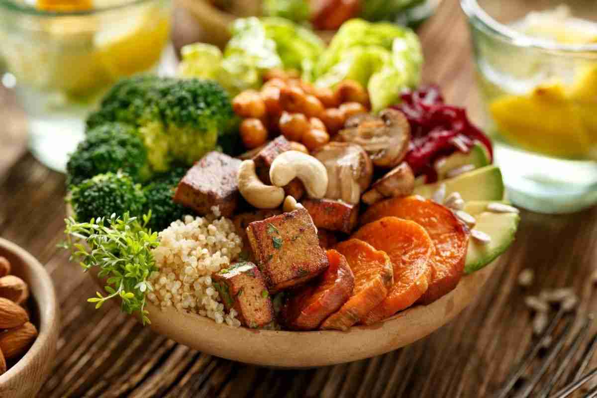food bowl