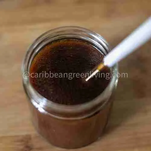 Spicy Coconut Ginger Salad Dressing
