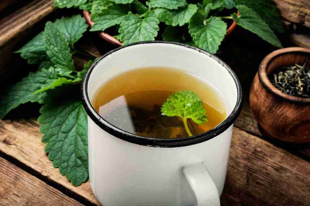 The Ultimate Guide to Steeping Herbal Tea