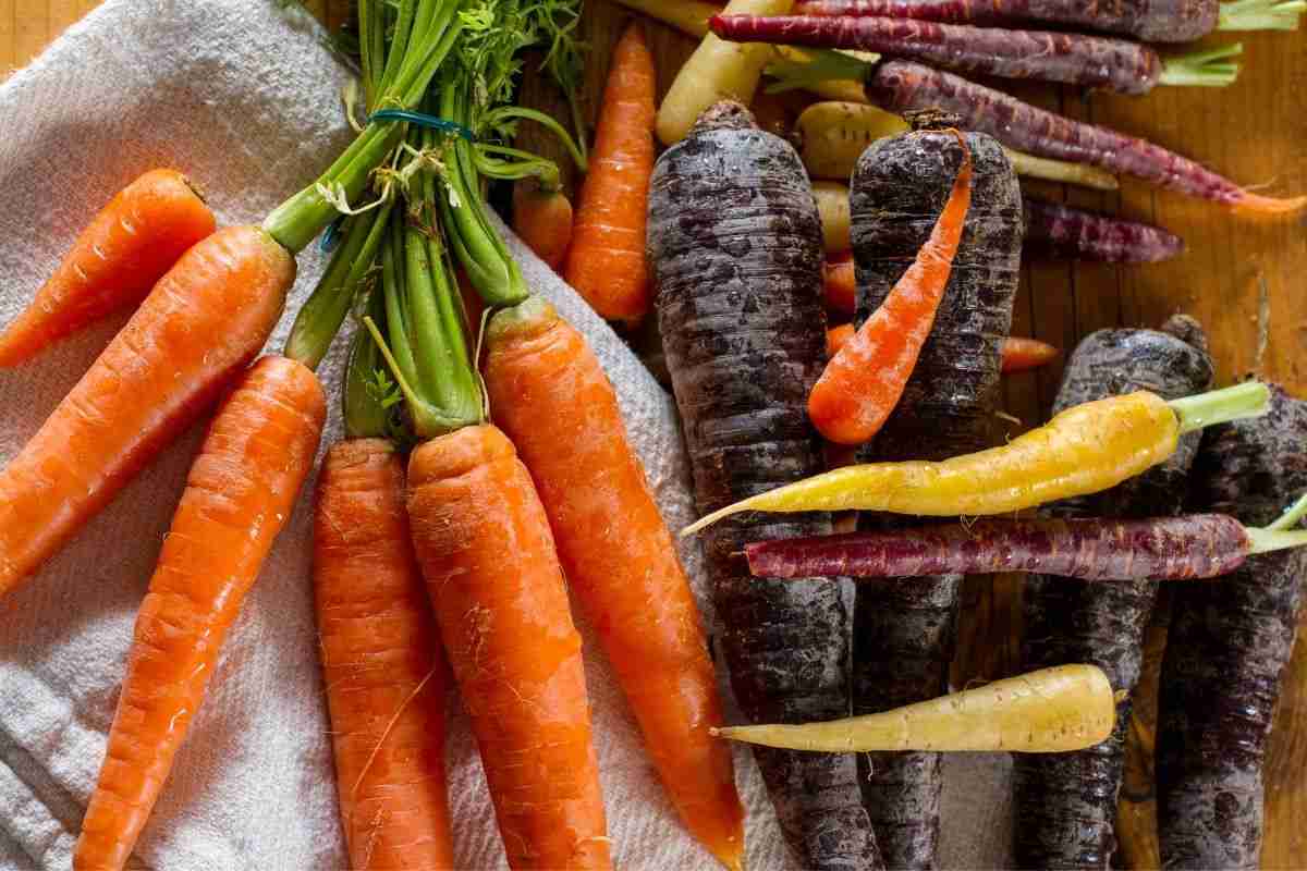 The Humble Carrot: More Than Just a Bunny Snack 1 carrots - The Humble Carrot_ More Than Just a Bunny Snack