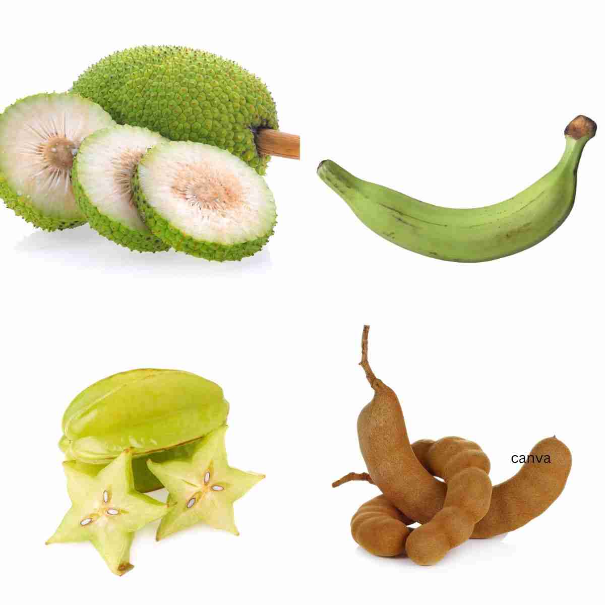 Embrace the Caribbean Summer with June's Seasonal Produce Guide 5 Embrace the Caribbean Summer with June's Seasonal Produce