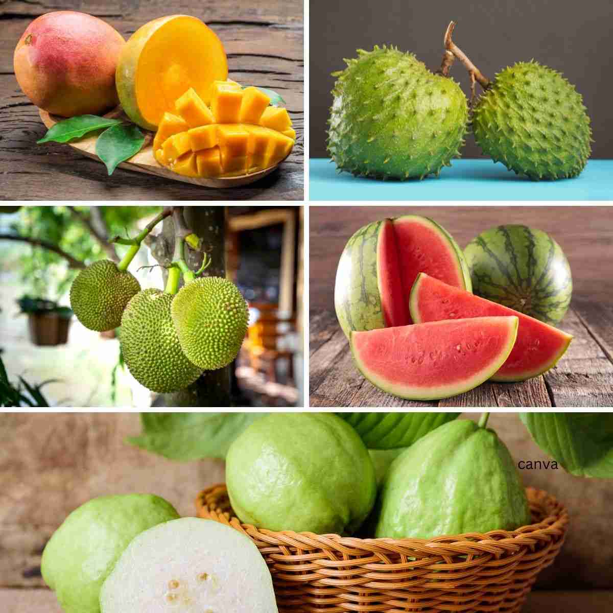 Embrace the Caribbean Summer with June's Seasonal Produce Guide 1 Embrace the Caribbean Summer with June's Seasonal Produce Guide
