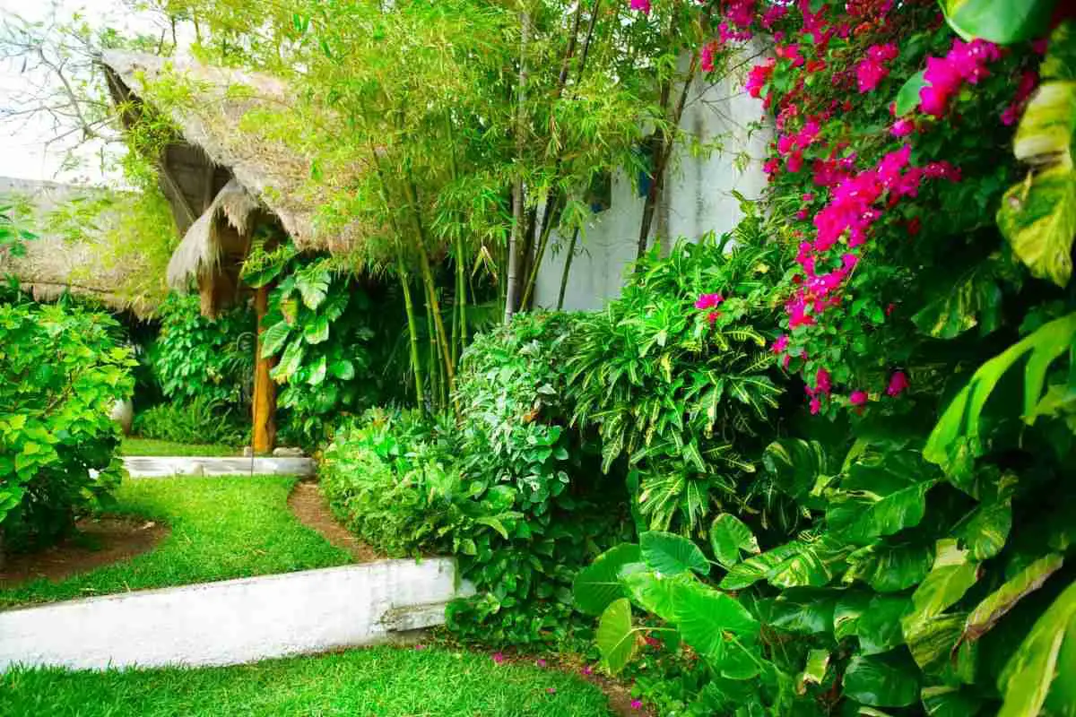 Secrets to a Thriving Caribbean Garden