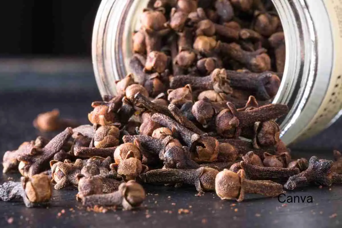 whole cloves