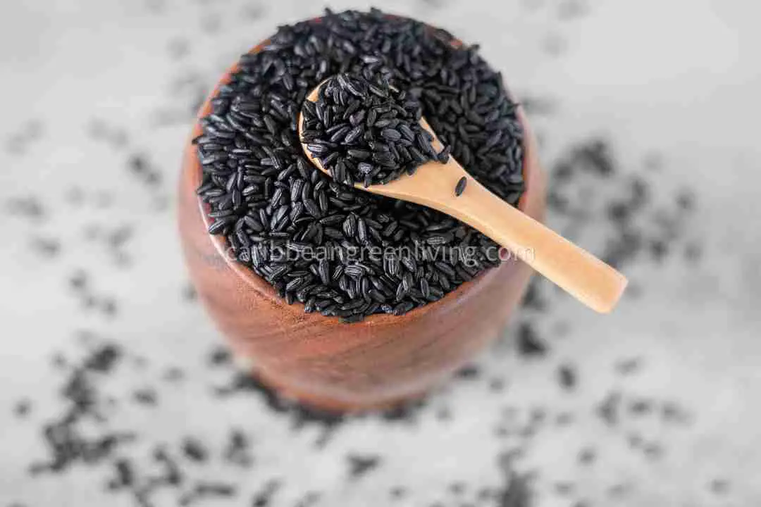 black rice