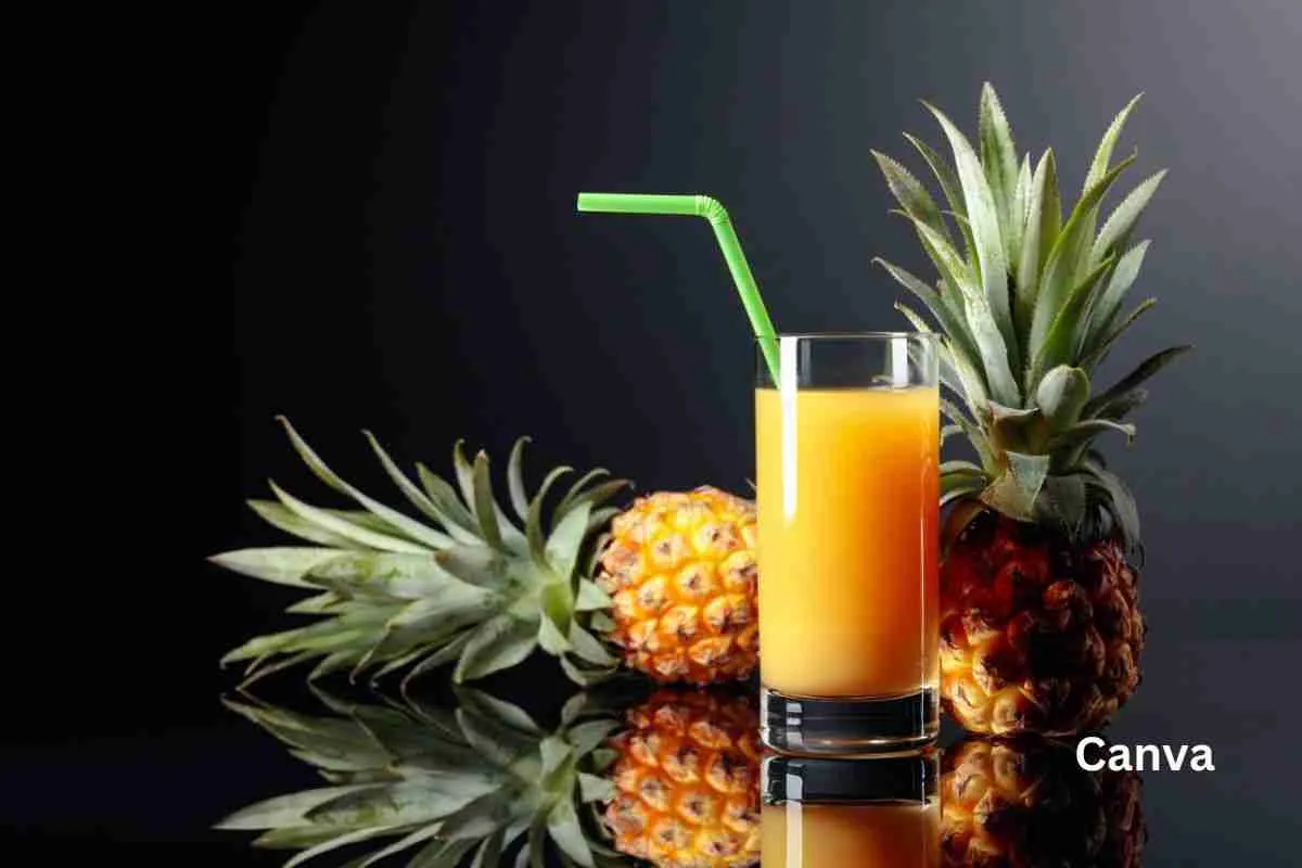 Growing Sustainable Pineapple in the Caribbean
