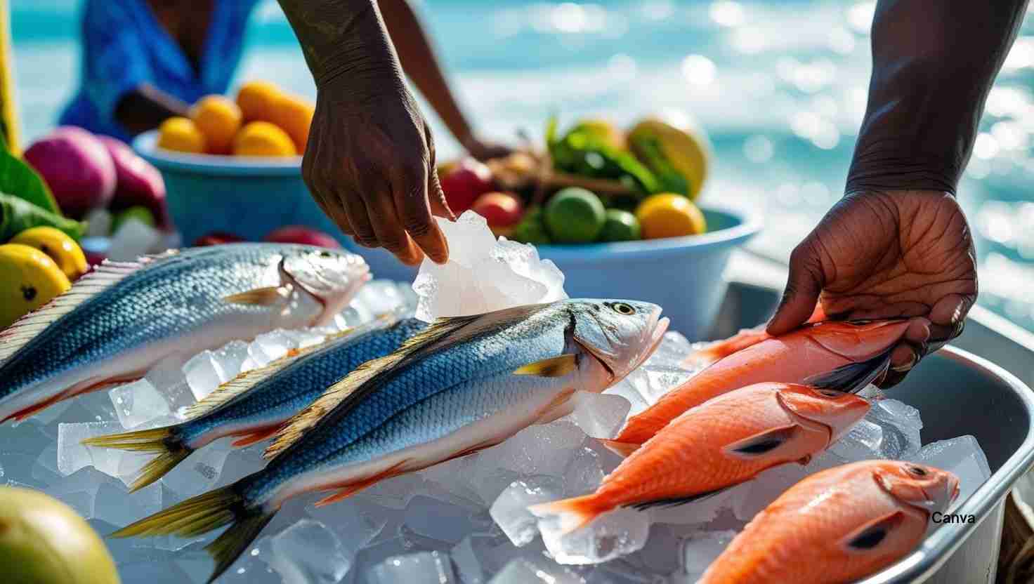 Sustainable Seafood in the Caribbean