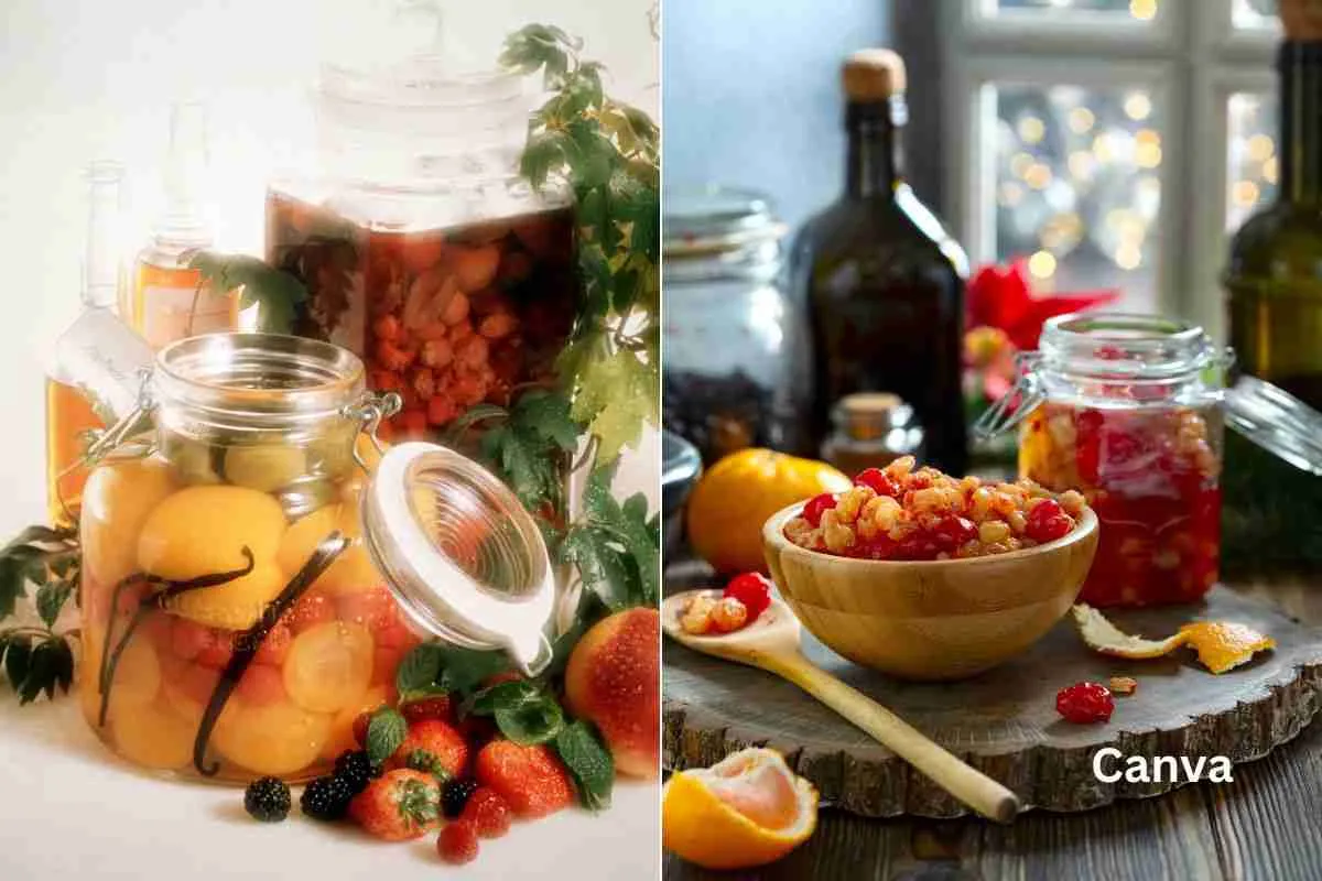 Boozy Bites: A Guide to Soaking Fruits in Alcohol
