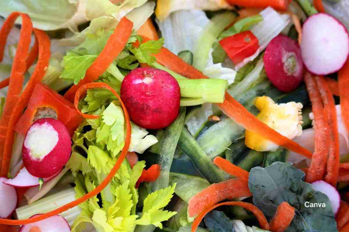 Food Scraps