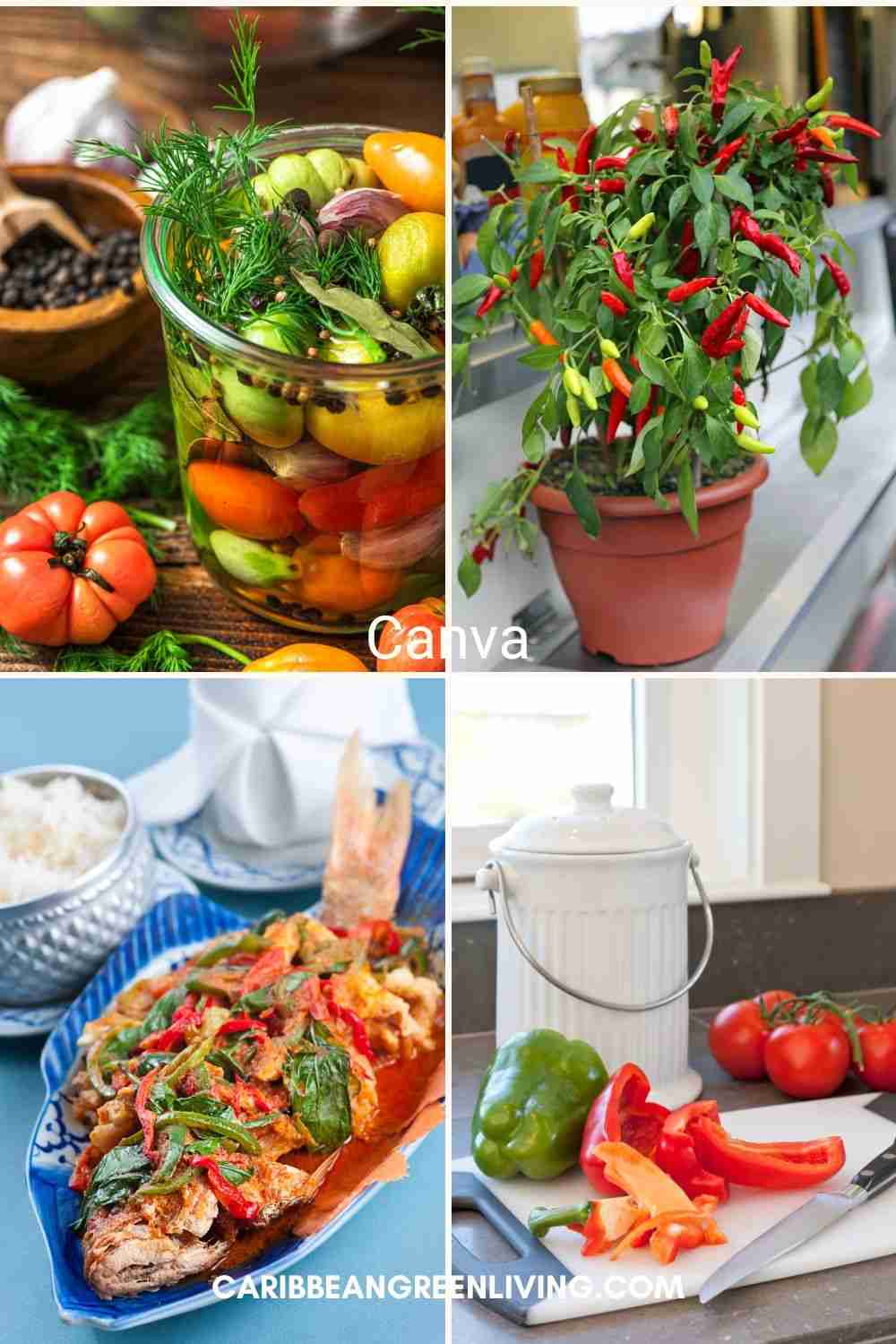 A Sustainable Autumn: Gardening and Caribbean Cuisine 1 A Sustainable Autumn: Gardening and Caribbean Cuisine