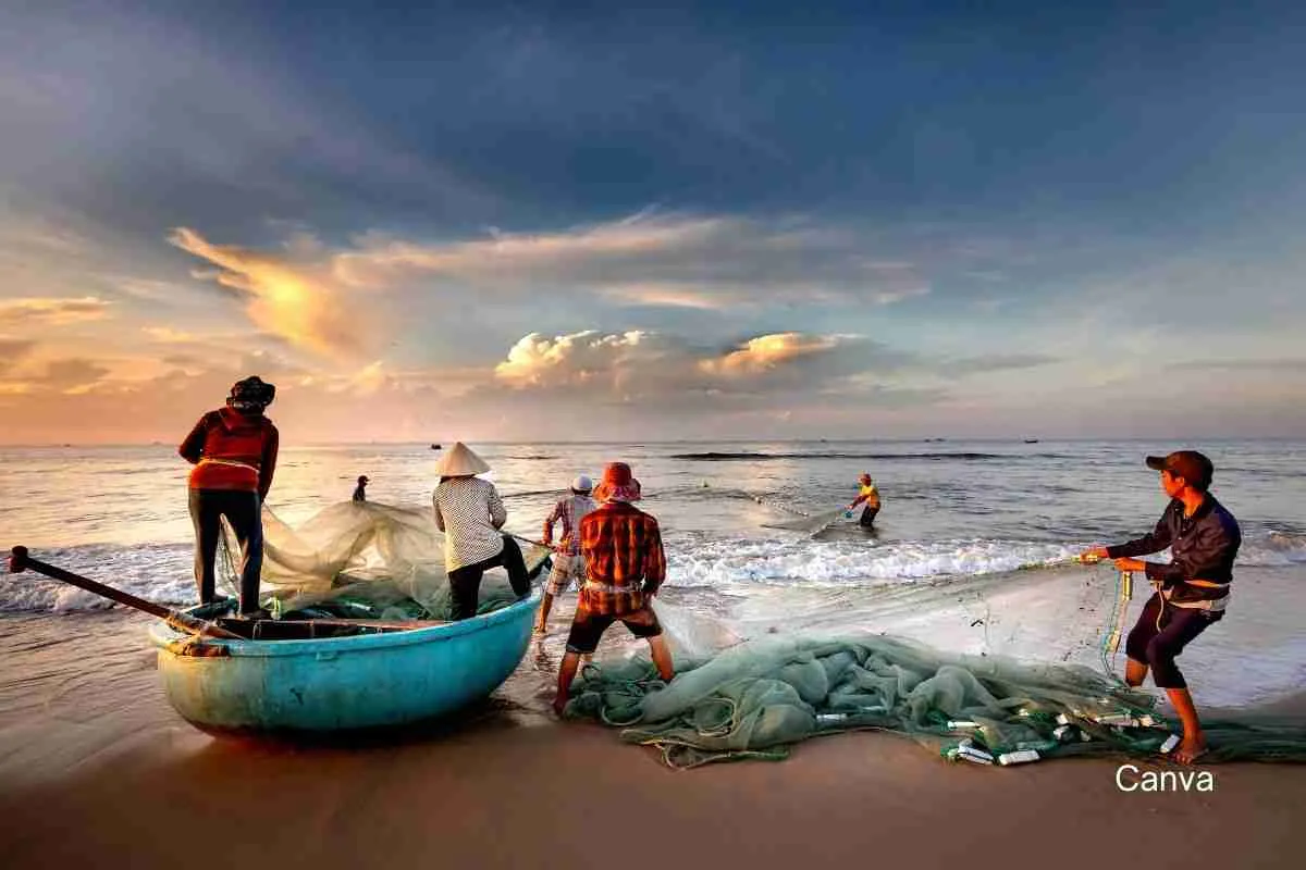 A Sustainable Seafood Lover's Guide