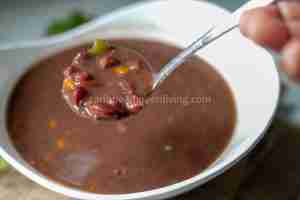 Red Kidney Bean Puree