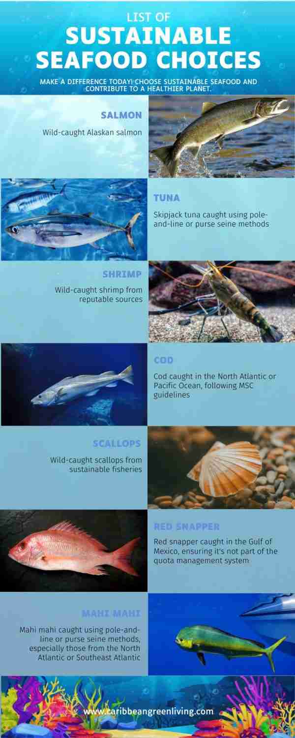 A Sustainable Seafood Lover's Guide to Making Informed Choices 3 Sustainable Seafood Choices Guide