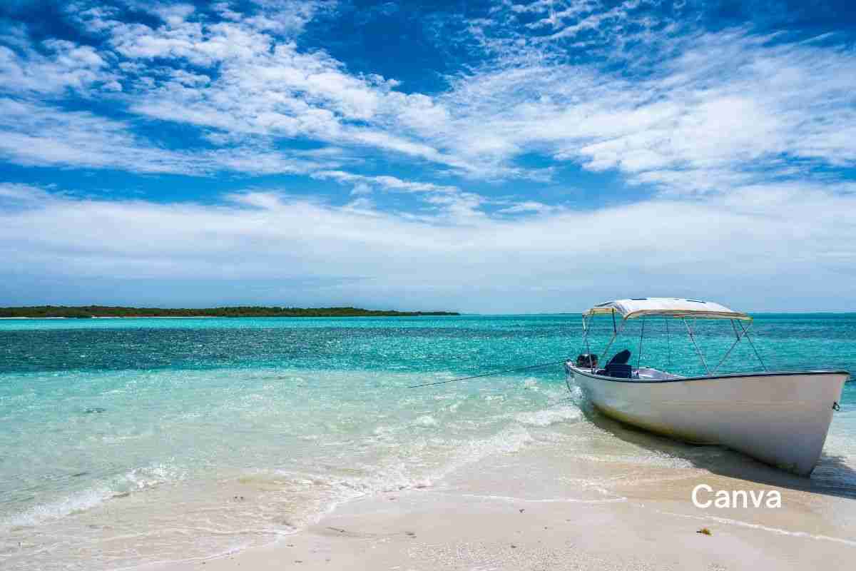 Escape to Nature's Haven: Explore 5 Hidden Eco-Paradises in the Caribbean 9 5 Hidden Eco-Paradises in the Caribbean- Los Roques National Park