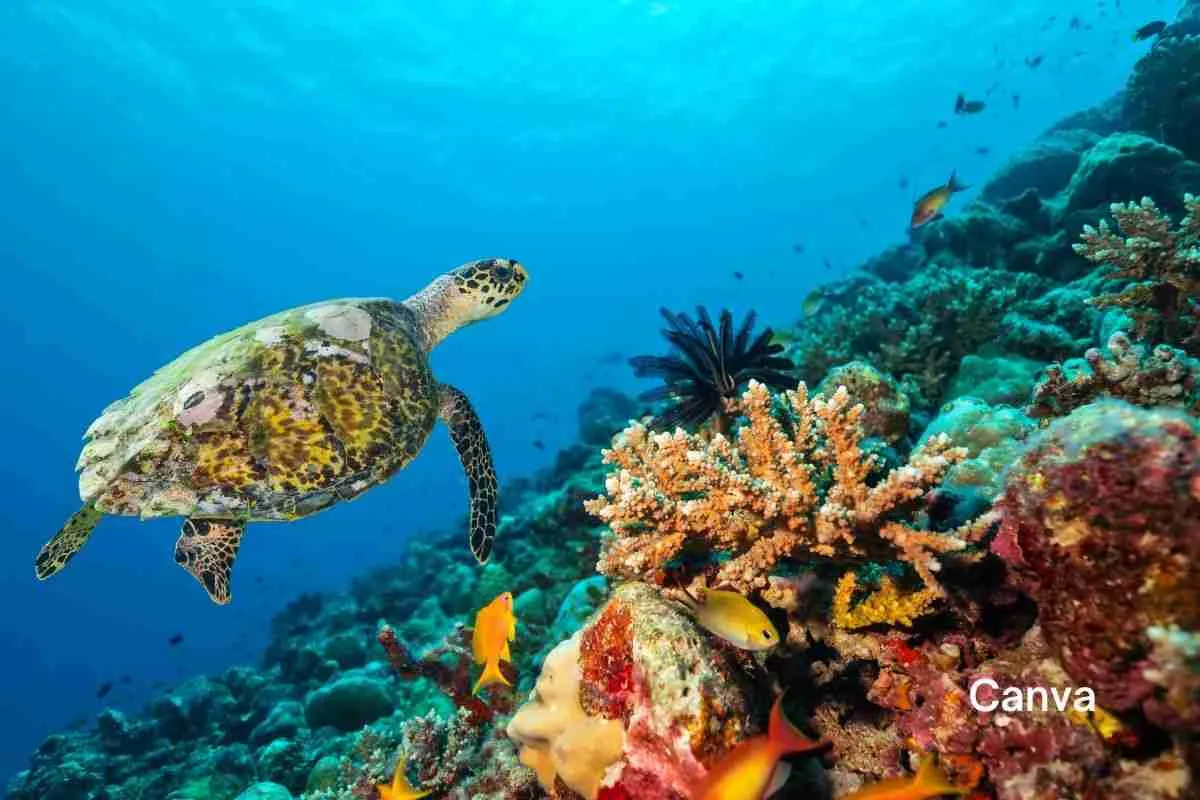 5 Hidden Eco-Paradises in the Caribbean
