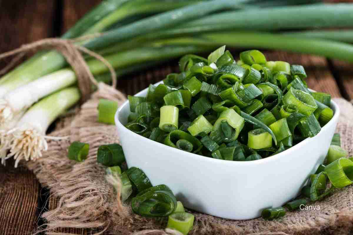 Scallions vs Green Onions - Scallions