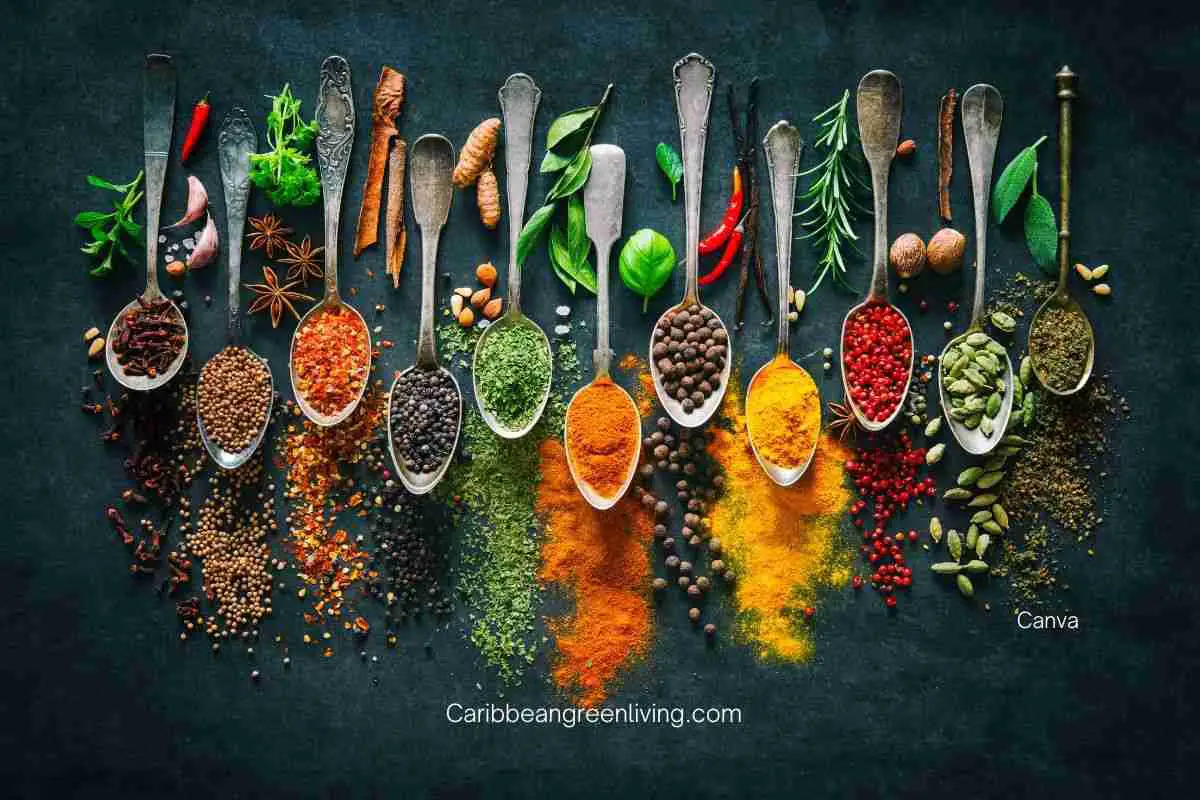 Spice Up your Life with the Health Benefits of Caribbean Spices