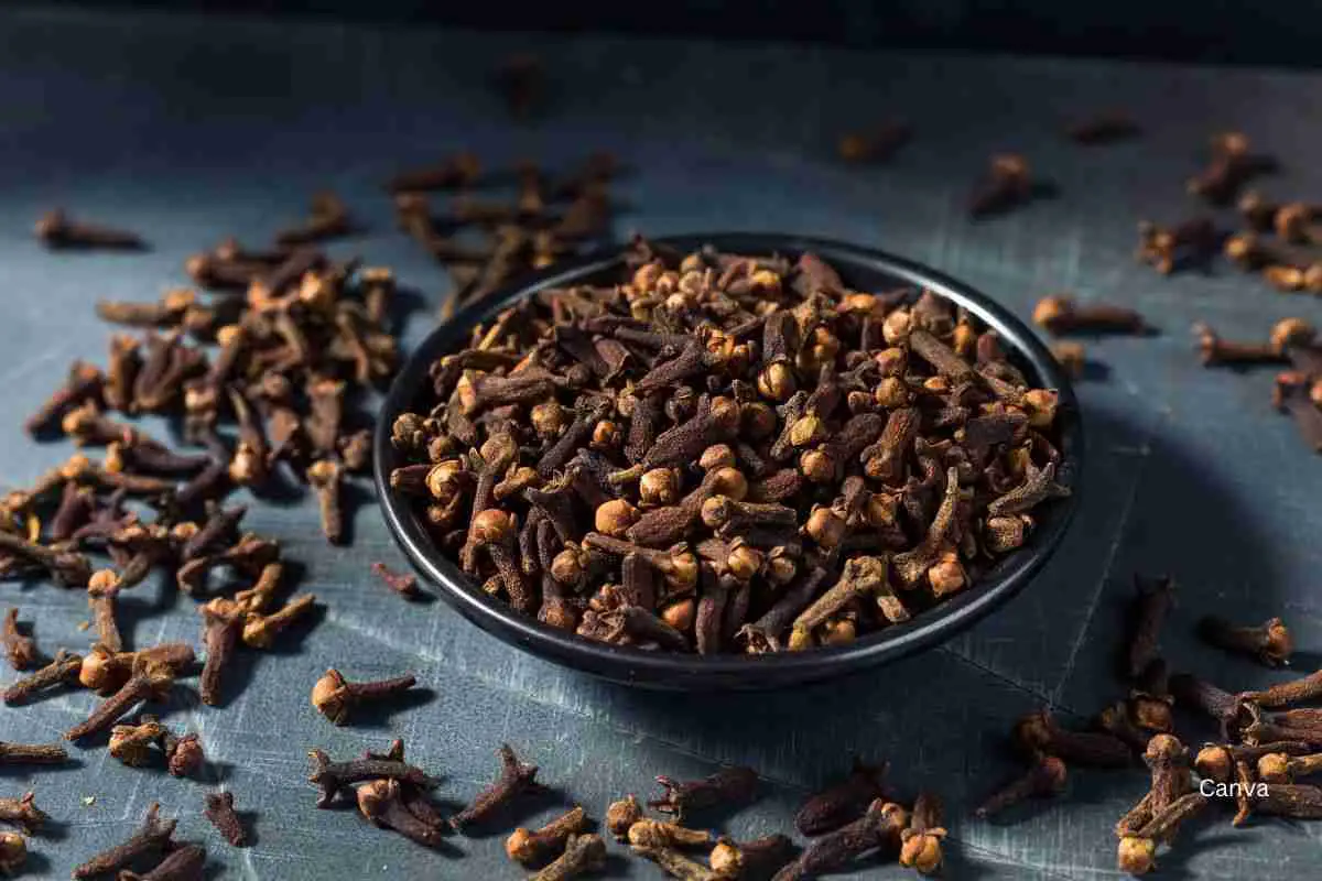 Whole Cloves in Your Cooking and Health