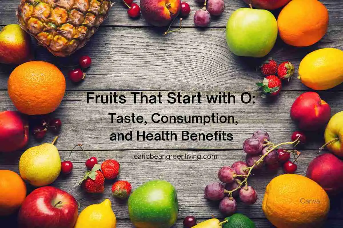 Fruits That Start with O: